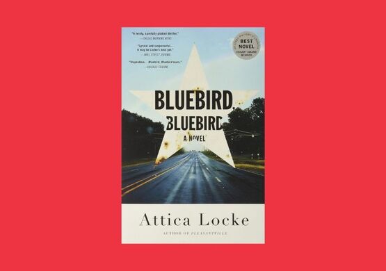 beyond-agatha-bluebird-bluebird