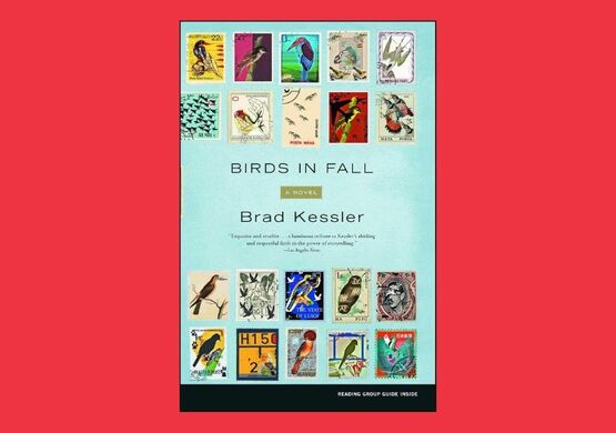first-wednesday-birds-in-fall