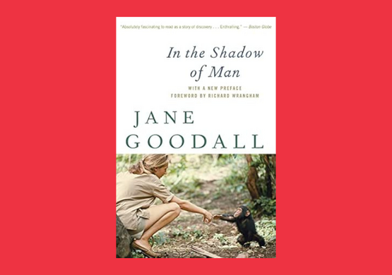 nonfiction-book-club-in-the-shadow-of-man