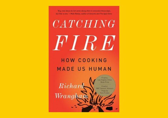 nonfiction-book-club-catching-fire