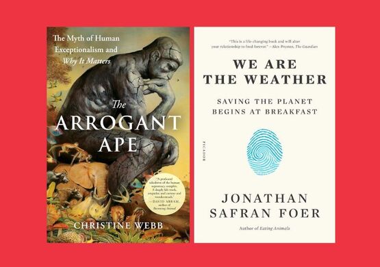 pop-up-book-discussion-the-arrogant-ape-we-are-the-weather