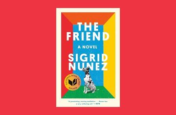 Zillenial Book Club: The Friend 