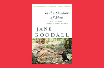 Nonfiction Book Club: In The Shadow of Man